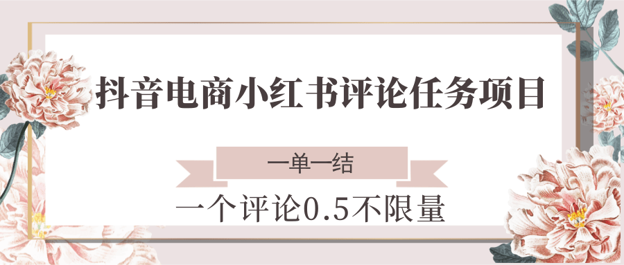 抖音电商小红书评论任务项目，一个评论0.5，一单一结 不限量-水水网赚