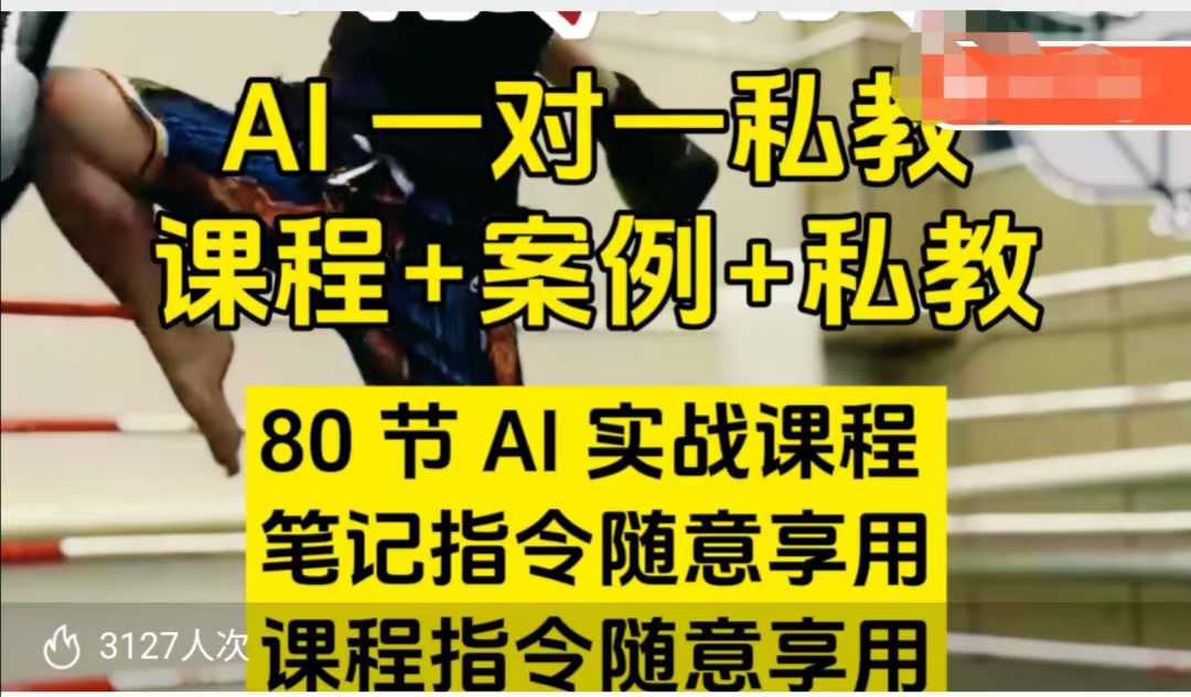 AI指令实战课，课程+案例，80节AI实战课程，笔记指令随意享用，课程指令随意享用（更新7月）-水水网赚