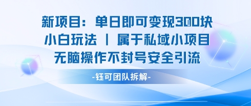 新项目单日即可变现3张的小白玩法无脑操作不封号安全引流-水水网赚