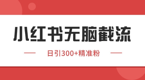 小红书截流同行客源，独家野路子获客玩法 日引200+暴力获客【揭秘】-水水网赚