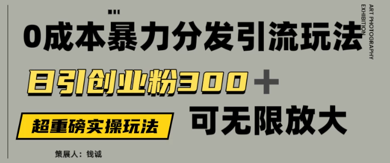 价值5980的0成本暴力引流玩法，日引创业粉300+，可无限放大-水水网赚