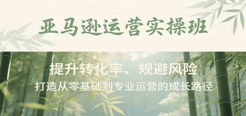 亚马逊运营实操班，提升转化率、规避风险，打造从零基础到专业运营的成长路径-水水网赚