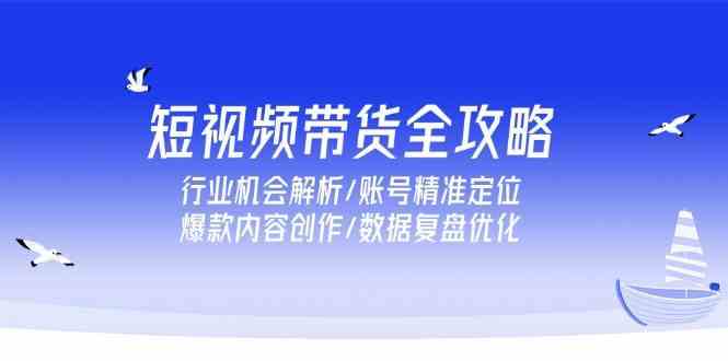 短视频带货全攻略，行业机会解析/账号精准定位/爆款内容创作/数据复盘优化-水水网赚