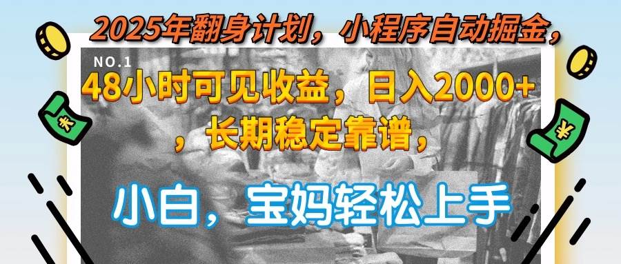 （15082期）2025年翻身计划，小程序自动掘金48小时可见收益，日入2000+，长期稳定…-水水网赚