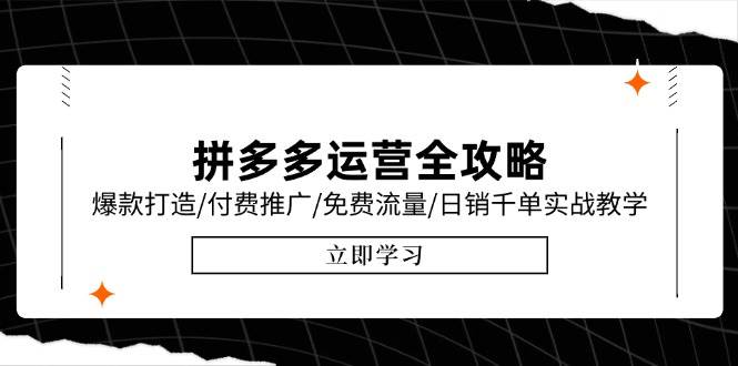 （15085期）拼多多运营全攻略，爆款打造/付费推广/免费流量/日销千单实战教学/6月更新-水水网赚