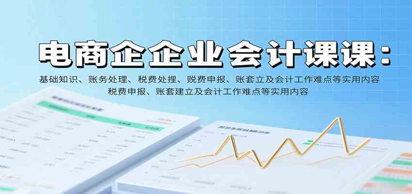 电商企业会计课：基础知识、账务处理、税费申报、账套建立及会计工作难点等实用内容-水水网赚