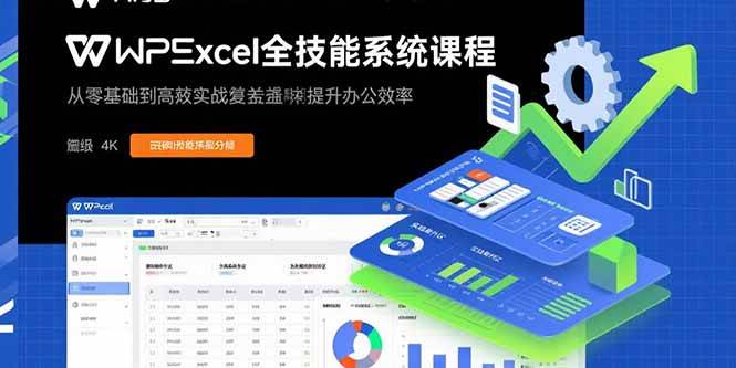 （15873期）WPS Excel全技能系统课程：从零基础到高阶实战全覆盖，全面提升办公效率-水水网赚