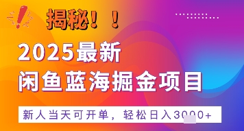 2025最新闲鱼蓝海掘金项目，新人当天可开单，轻松日入多张+的保姆级教程-水水网赚
