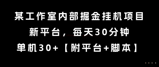 某工作室内部掘金挂G项目，新平台，每天30分钟，单机30+【揭秘】-水水网赚