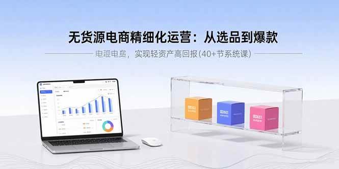 （15896期）无货源电商精细化运营：从选品到爆款，实现轻资产高回报(40+节系统课)-水水网赚