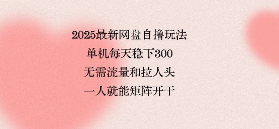 2025最新网盘自撸玩法，单机每天稳下3张，无需流量和拉人头，一个人就可轻松矩阵，全网独一份【揭秘】-水水网赚