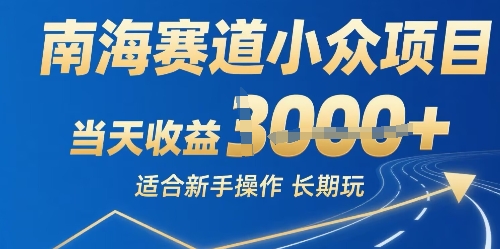 南海赛道小众项目，当天收益1k+适合新手操作可以长期玩-水水网赚