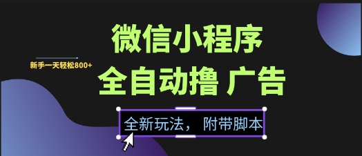 微信小程序全自动撸广告项目，彻底解决没流量的问题，新手一天8张+【揭秘】-水水网赚
