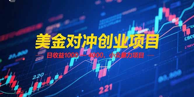 （15187期）美金对冲创业项目，日收益 1000 – 4000，小众暴力项目-水水网赚