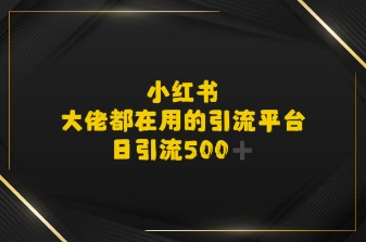 小红书，大佬都在用的大粉平台，日引流500+-水水网赚