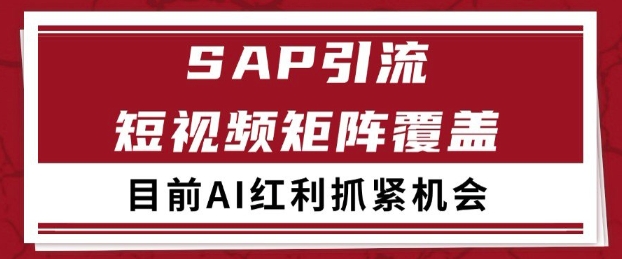 小红书某音sap赛道引流获客 自热矩阵日引200+【揭秘】-水水网赚
