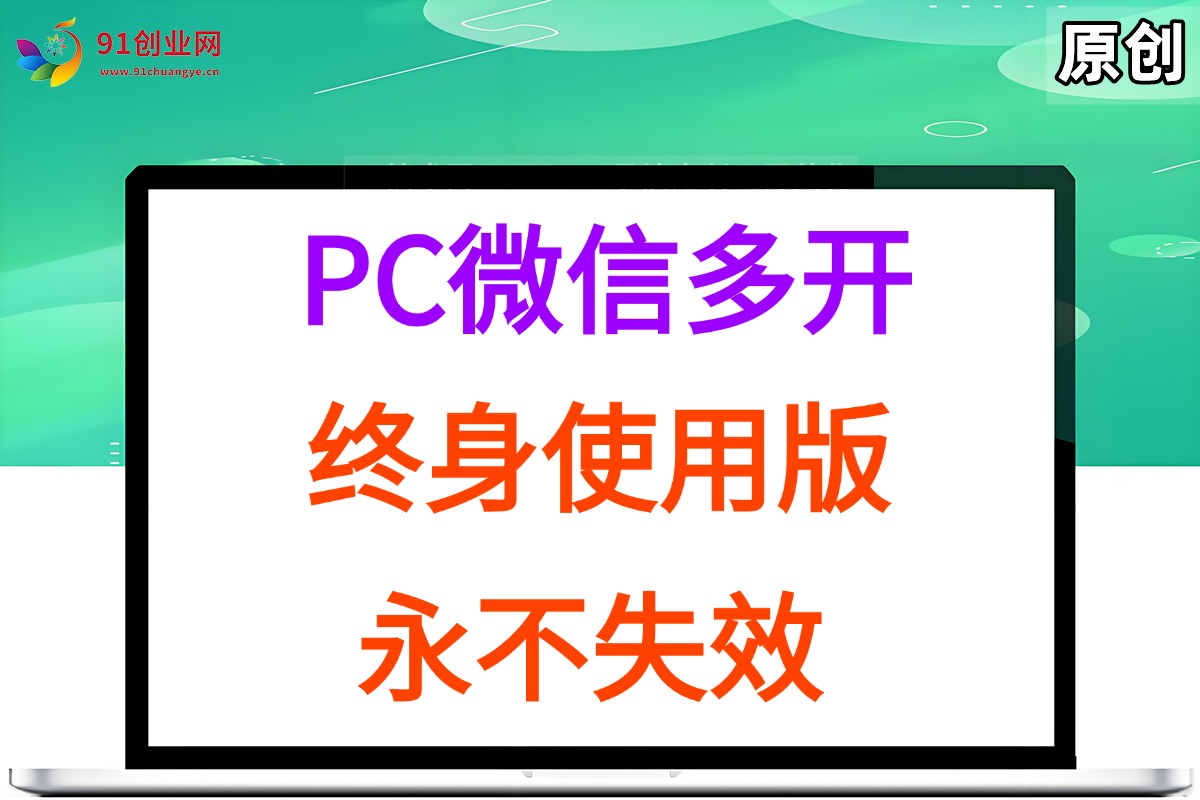 （15335期）PC微信多开终身定制版，超级简单，几行代码搞定，永不失效-水水网赚