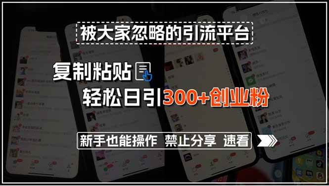 （15428期）被大家忽略的引流平台，复制粘贴轻松日引300+创业粉，新手也能操作，禁…-水水网赚