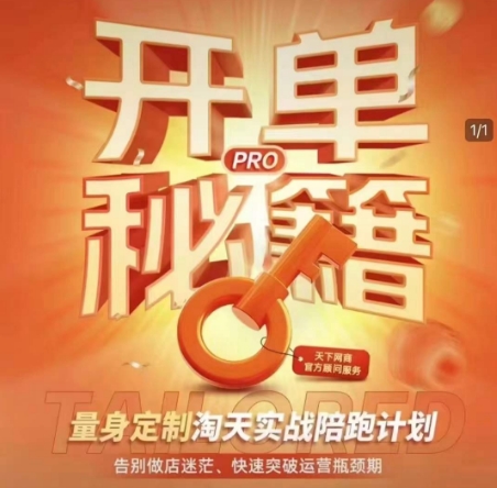 淘宝开单秘籍PRO，量身定制淘天实战陪跑计划，告别做店迷茫、快速突破运营瓶颈期（更新6月）-水水网赚