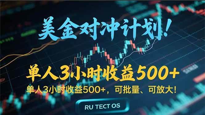 （15321期）长久稳定的撸美金项目，平均3小时收入 500+，可公司实地考察实地操作！-水水网赚