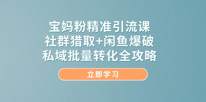 （14820期）宝妈粉精准引流课，社群猎取+闲鱼爆破，私域批量转化全攻略-水水网赚