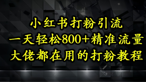 小红书打粉引流，一天轻松500+精准流量，大佬都在用的打粉教程-水水网赚