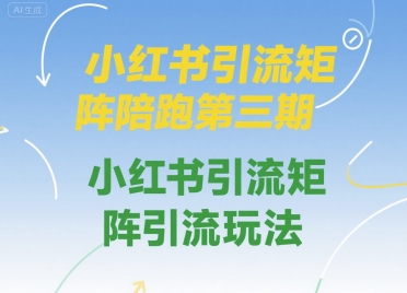 小红书引流矩阵陪跑第三期，小红书引流矩阵引流玩法-水水网赚