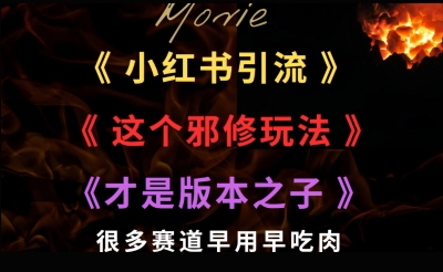 最近小红书引流这个邪修玩法才是版本之子，很多赛道早用早吃肉-水水网赚