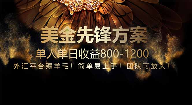 免费技术！小众赛道！一年布局抵三年努力，每日800+-水水网赚