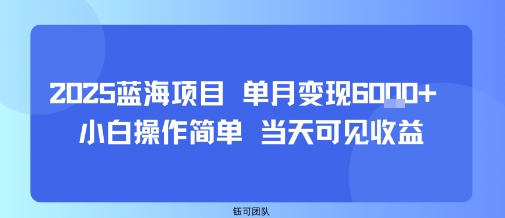 2025蓝海项目 单月变现6k+ 小白操作简单 当天可见收益-水水网赚