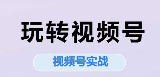 玩转视频号，视频号实战系列课-水水网赚