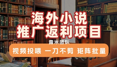 海外小说推广返利项目，视频投喂， 一刀不剪，矩阵批量-水水网赚