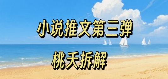 小说推文项目操作全流程第三弹，0粉就能做，门槛低非常适合新手-水水网赚