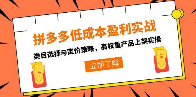 （15143期）拼多多低成本盈利实战，类目选择与定价策略，高权重产品上架实操-水水网赚