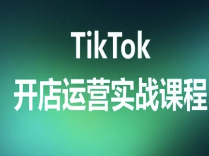 TikTok开店运营实战课程，TK跨境电商实操全流程-水水网赚