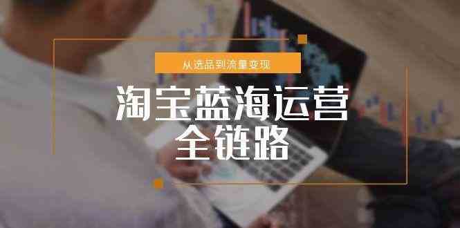 淘宝蓝海运营全链路，从选品到流量变现，小类目突围完整方案-水水网赚