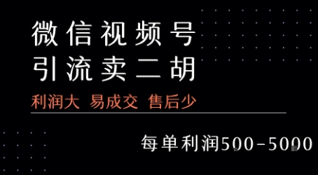 视频号卖二胡教程，利润大 易成交 售后少，一单利润5张+-水水网赚