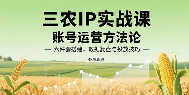 （15864期）三农IP实战课：账号运营方法论，六件套搭建，数据复盘与投放技巧-水水网赚