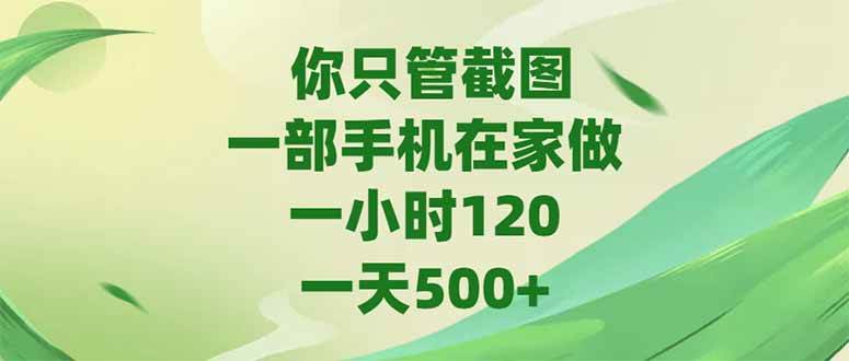 （15039期）你只管截图，一部手机在家做，一小时120，-天500+-水水网赚