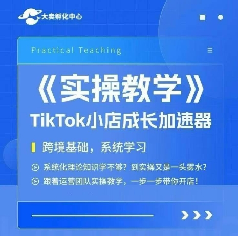 大卖家孵化中心TikTok实操课，TikTok小店成长加速器，跨境基础系统学习，一步一步带你开店-水水网赚