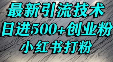 小红书精准引流创业粉，前辈求带孩子走投无路了，单人操作日引500+精准创业粉-水水网赚