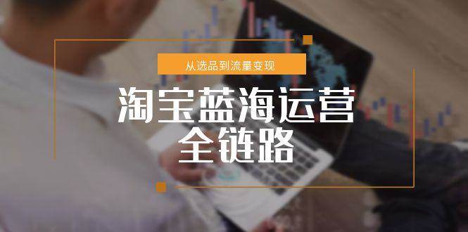 （15160期）淘宝蓝海运营全链路，从选品到流量变现，小类目突围完整方案-水水网赚