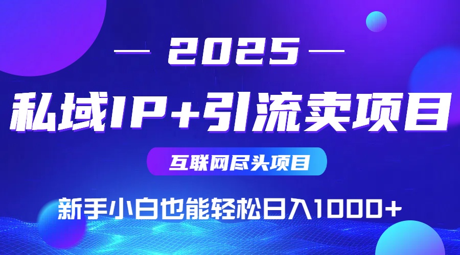 私域IP+卖项目，普通人小白也能轻松实现日入1000+-水水网赚