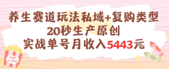 养生赛道玩法私域+复购类型，20秒生产原创实战单号月收入5k+-水水网赚
