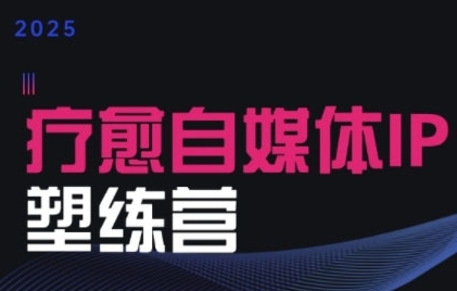 2025治愈自媒体IP训练营，专为疗愈领域从业者打造-水水网赚