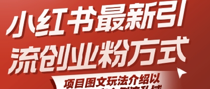 小红书最新引流创业粉方式，项目图文玩法介绍以及如何安全倒流私域-水水网赚