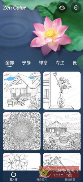 Zen Color 禅之颜色1.54.5 高级版-水水网赚