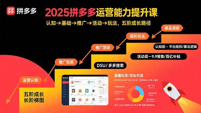 （15826期）2025拼多多运营能力提升课：认知→基础→推广→活动→玩法，五阶成长路径-水水网赚