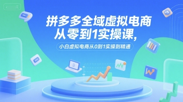 拼多多全域虚拟电商从零到1实操课，小白虚拟电商从0到1实操到精通-水水网赚
