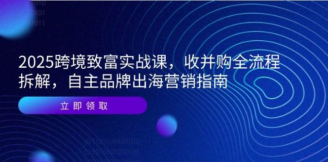 （14975期）2025跨境致富实战课，收并购全流程拆解，自主品牌出海营销指南-水水网赚